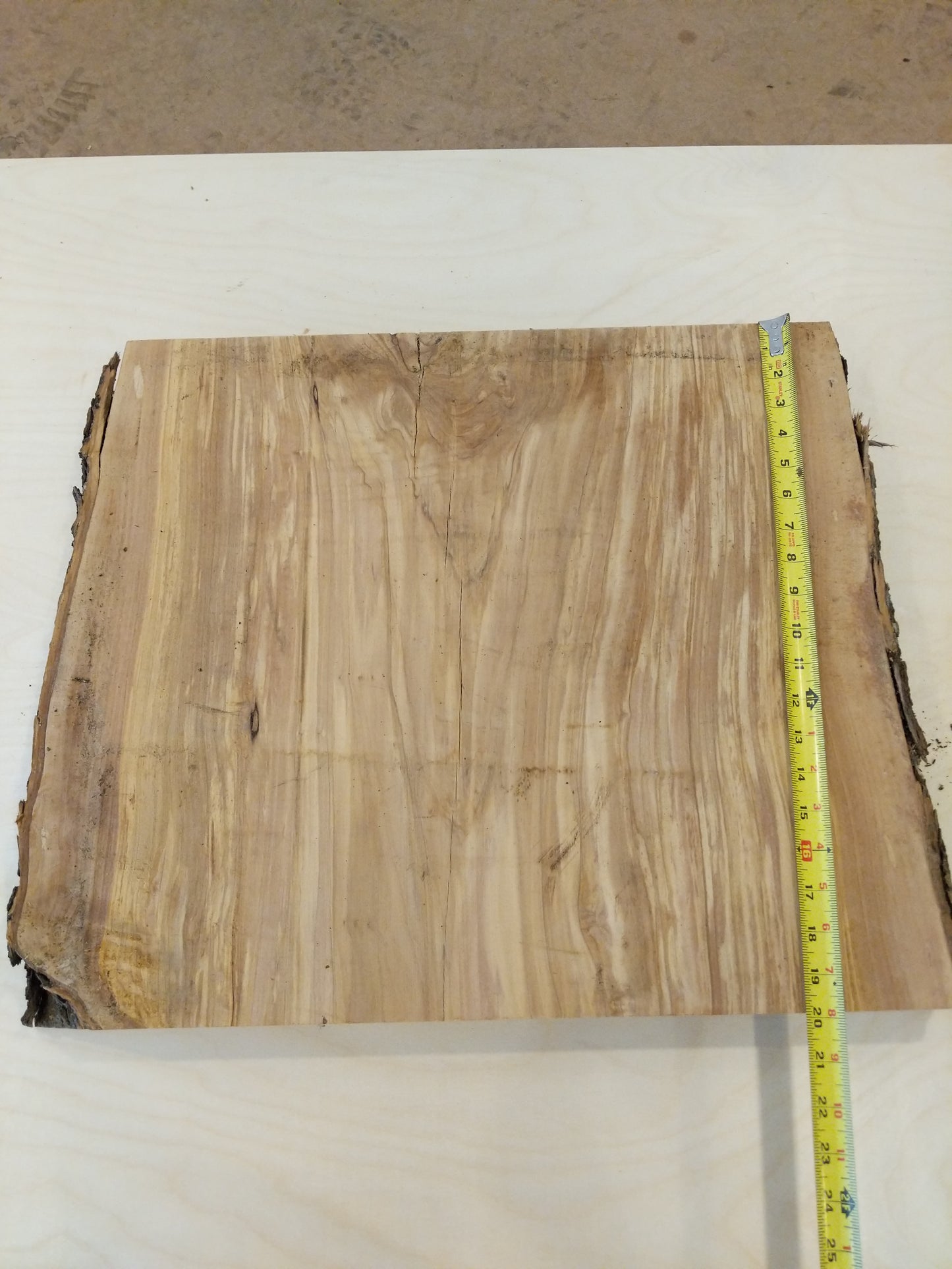 Italian Olive Wood Live Edge Mini Slab