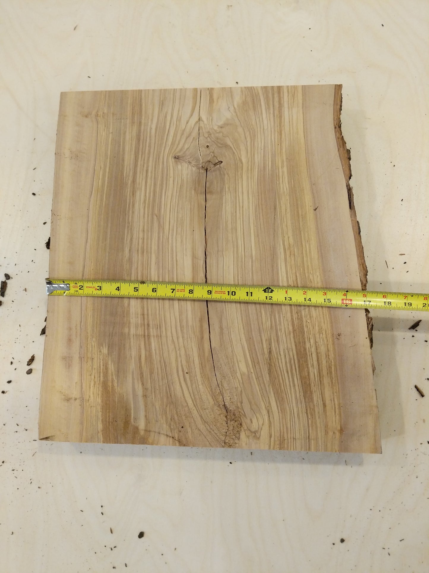 Italian Olive Wood Live Edge Mini Slab